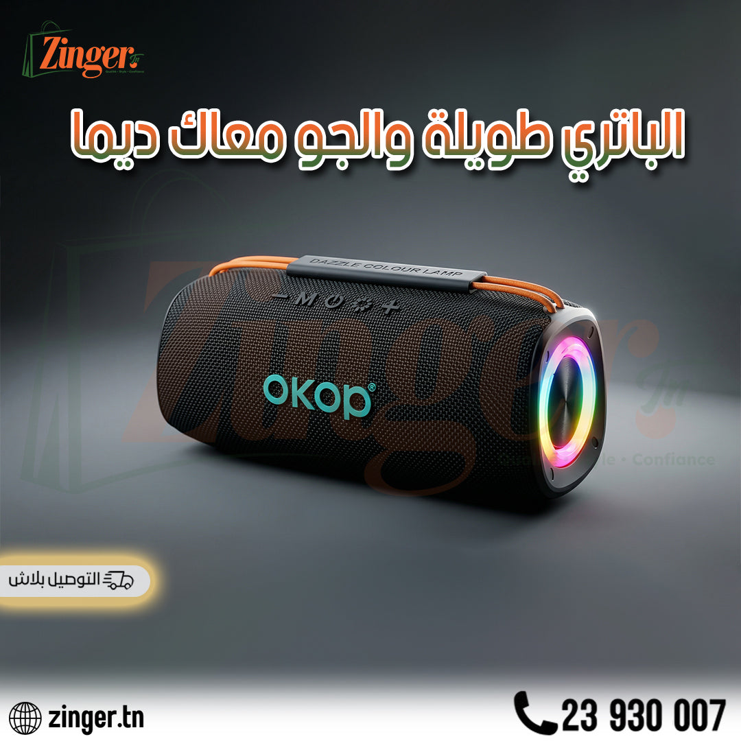 Haut Parleur OkOP
