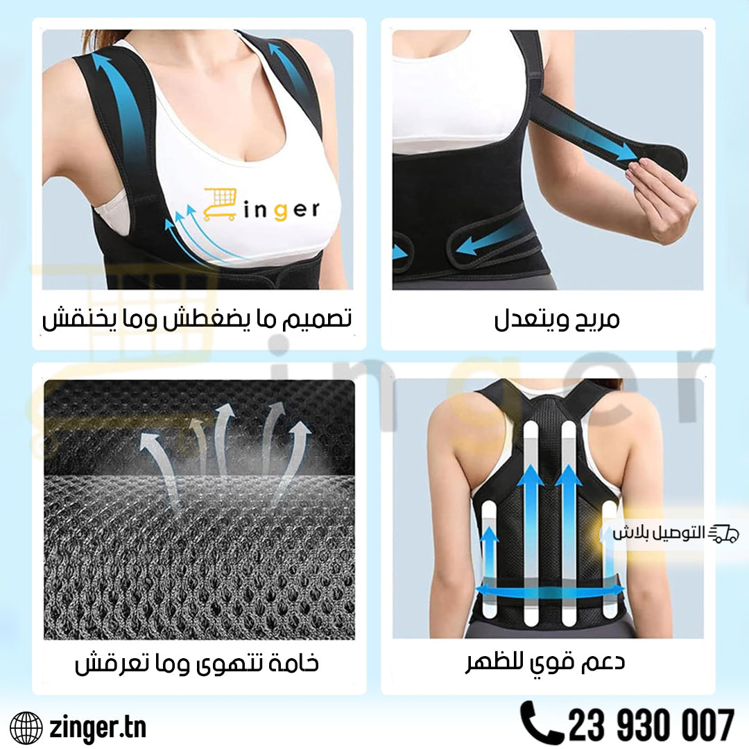 Ceinture Dorsale Pro
